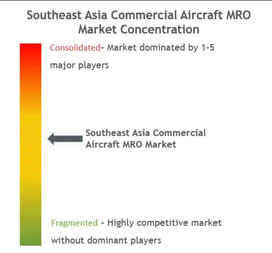 Southeast Asia Commercial Aircraft MRO Market Concentration